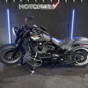 HARLEY DAVIDSON FAT BOY S 1802 2016