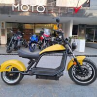 LUQI E-CHOPPER 2024
