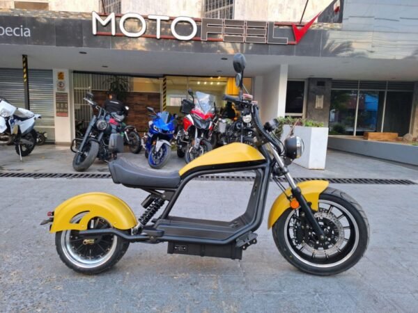 LUQI E-CHOPPER 2024