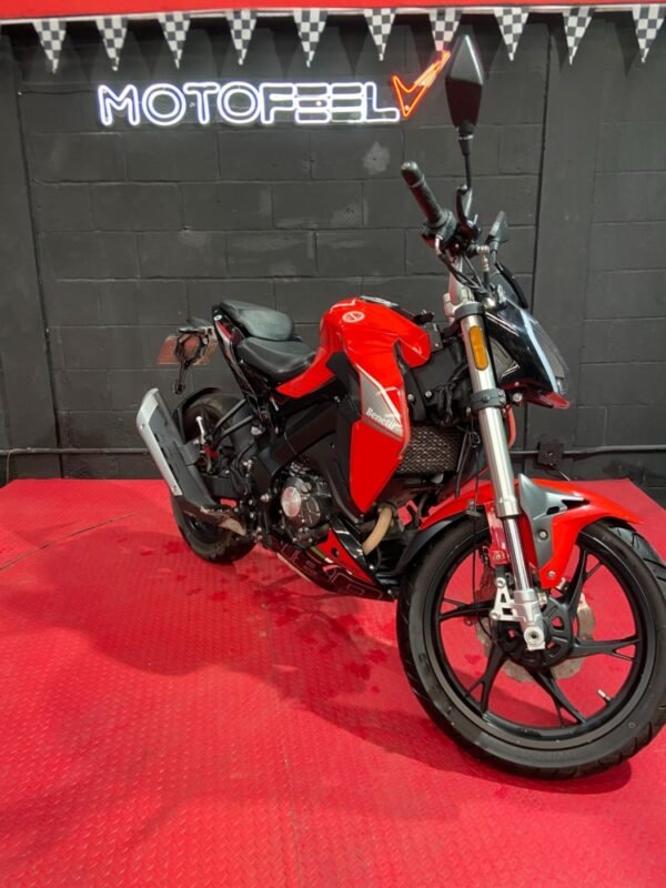 BENELLI 180S 2024 - Image 2