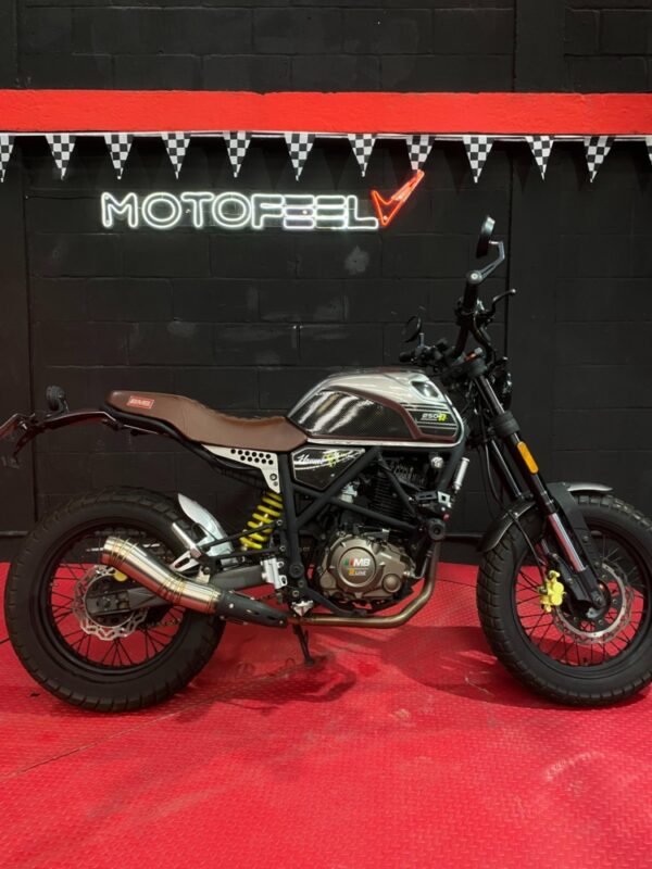 MB HORNET RLINE  250CC SCRAMBLE  2023