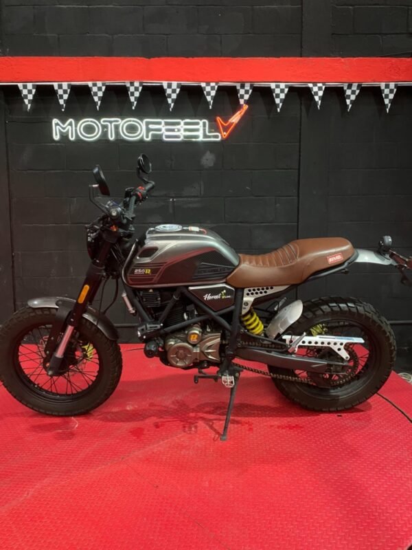 MB HORNET RLINE  250CC SCRAMBLE  2023 - Image 5