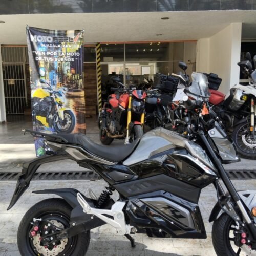 YAII TORMENTA ESTANDAR 2024