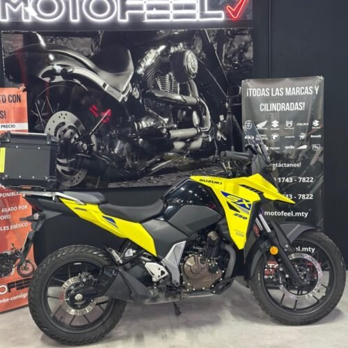 SUZUKI V-STORM  SX 250 2024