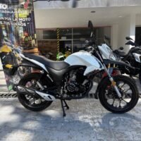 VENTO WORKMAN 250 2025