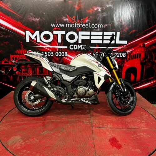 HAOJUE DR300 20026