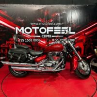 SUZUKI C50 VL800M3 2023