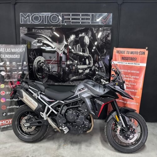 motosF TRIUMPH ADVENTURETIGER F TRIUMPH ADVENTURETIGER F jpg motosF TRIUMPH ADVENTURETIGER F TRIUMPH ADVENTURETIGER F jpg
