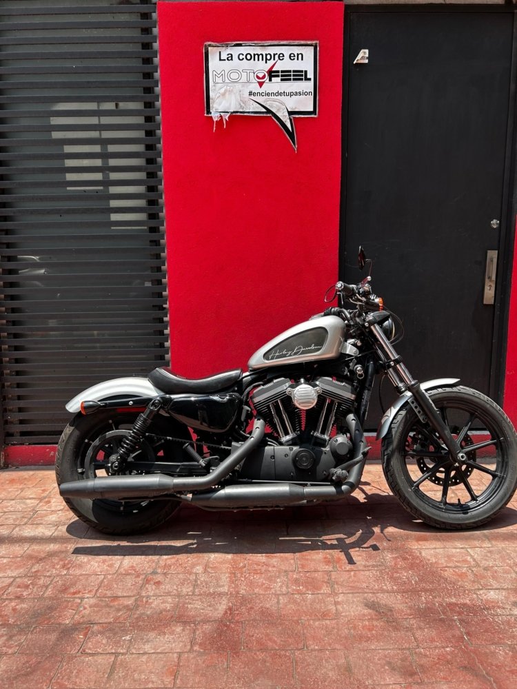 motosF HARLEYDAVIDSON XL F HARLEYDAVIDSON XL F jpg motosF HARLEYDAVIDSON XL F HARLEYDAVIDSON XL F jpg