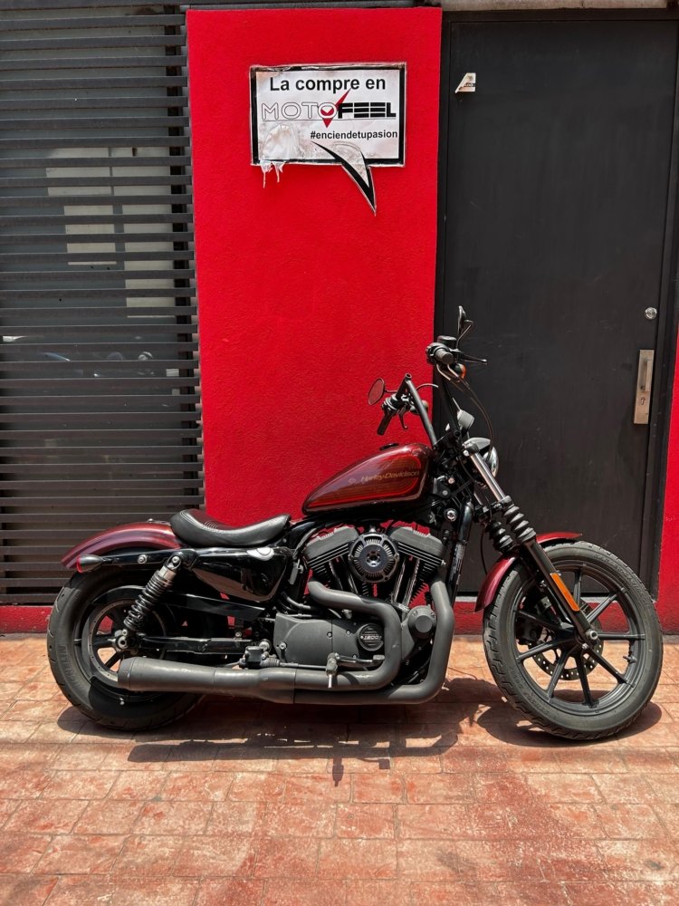 motosF HARLEYDAVIDSON XL F HARLEYDAVIDSON XL F jpg motosF HARLEYDAVIDSON XL F HARLEYDAVIDSON XL F jpg