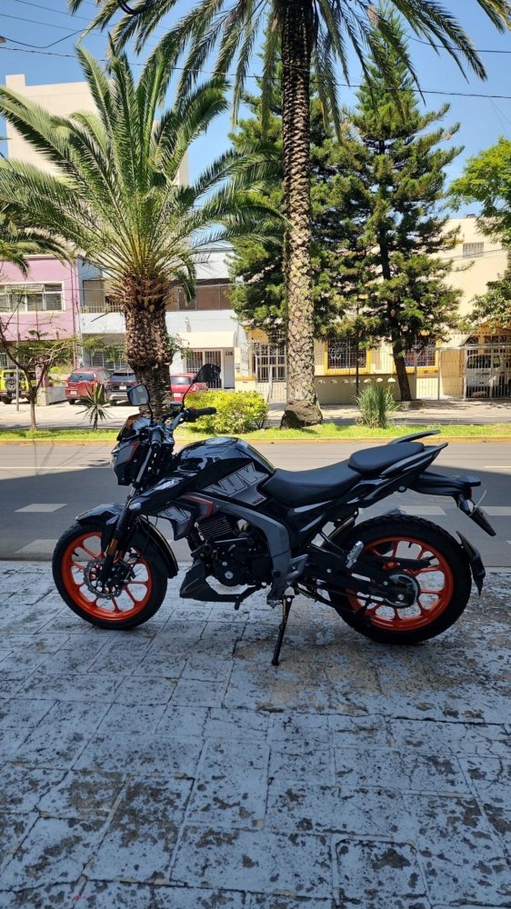 motosF HAWK F HAWK F jpg motosF HAWK F HAWK F jpg