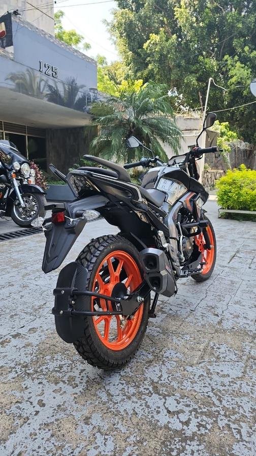 motosF HAWK F HAWK F jpg motosF HAWK F HAWK F jpg