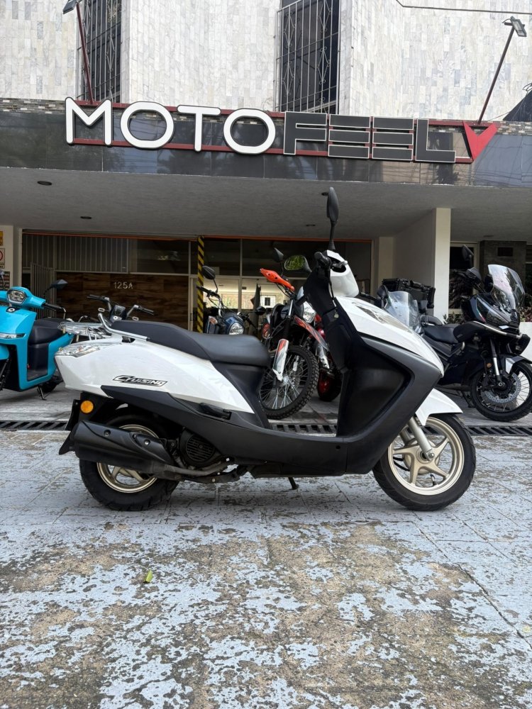 motosF HONDA CRUISING F HONDA CRUISING F jpg motosF HONDA CRUISING F HONDA CRUISING F jpg